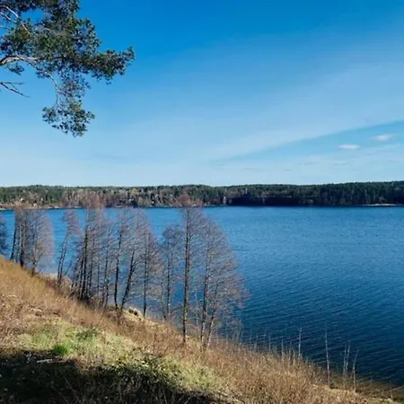 Kaszubska Lawenda żuromino, Nr 1 Żuromin